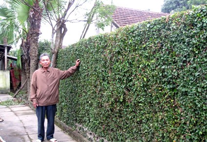 Làng khoa bảng và danh nhân nhiều đời ở Hà Tĩnh
